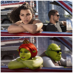GIF in reactie